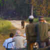 Article image for: <i class="tbold">kanha</i> Zone, <i class="tbold">kanha</i> National Park in Madhya Pradesh