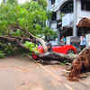 Cyclone Montha Live: A large tree was uprooted in the Gurudwara area of Visakhapatnam city due to strong winds, damaging a car parked in front of a house.
