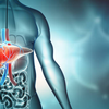 Lifestyle steps to support and protect your liver