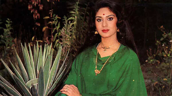 Meenakshi Seshadri Photos