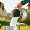 Digestibility