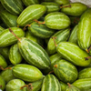 Pointed gourd (Patola) 