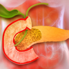 Healthy weight management