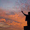 “All glory comes from daring to begin”