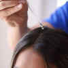 Argan oil