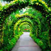 Walk through the Brooklyn Botanic Garden