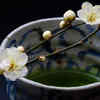 Wabi-sabi