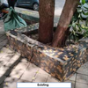 Standardising and Leveling Tree Basins to Improve Aesthetic Appeal