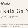 Accept what you can’t control (Shikata ga nai)