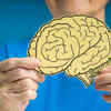 Why this study matters