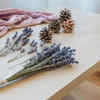Use pinecones as a centerpiece