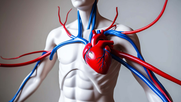 Heart Health: Vascular surgeon recommends 3 natural ways to keep your arteries clear and protect heart health