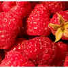 Raspberries