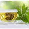 Dandelion Tea