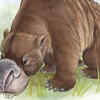 Diprotodon 