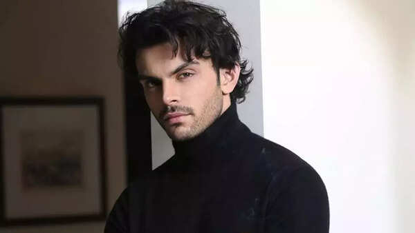 Veer