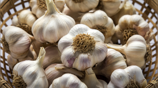 Garlic: Small daily amounts that shift blood pressure and lipid markers