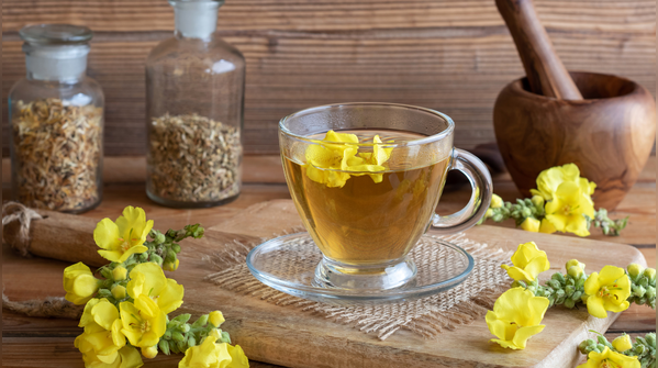 Mullein tea