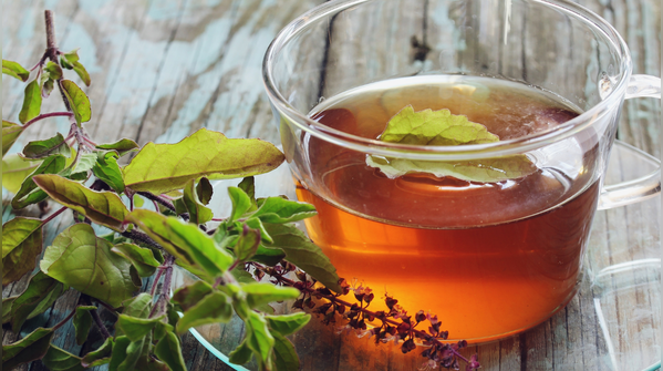 Tulsi tea