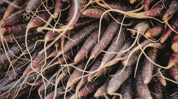 Purple carrots
