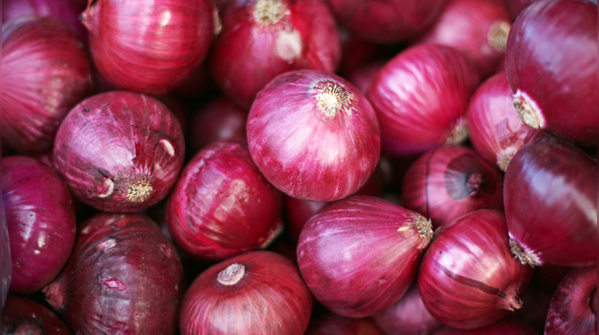 Red onion