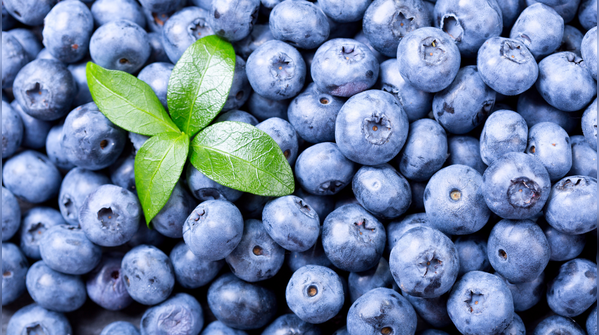 Blueberries