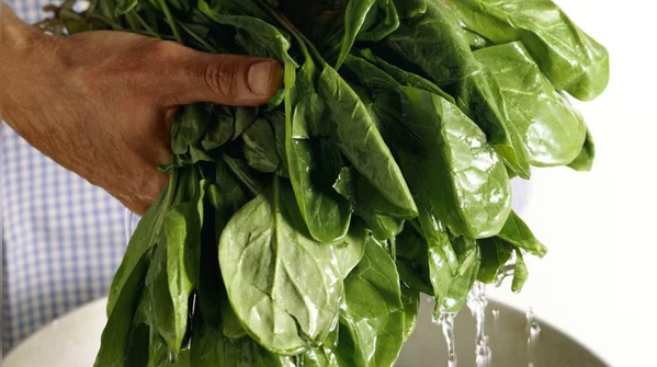 Spinach