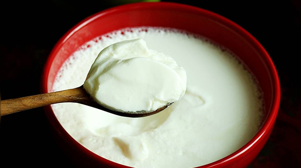 Curd