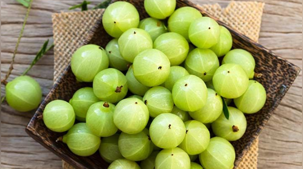 Amla