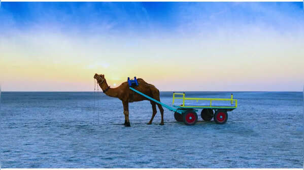 Dhordo (Gujarat)