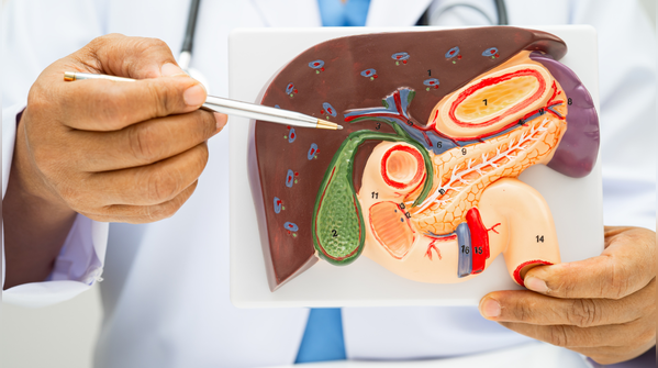 5 drinks that support liver detox and digestion