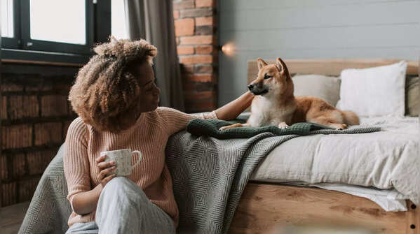 Spend time with pets