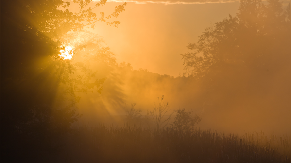 Begin the day without reaching outward