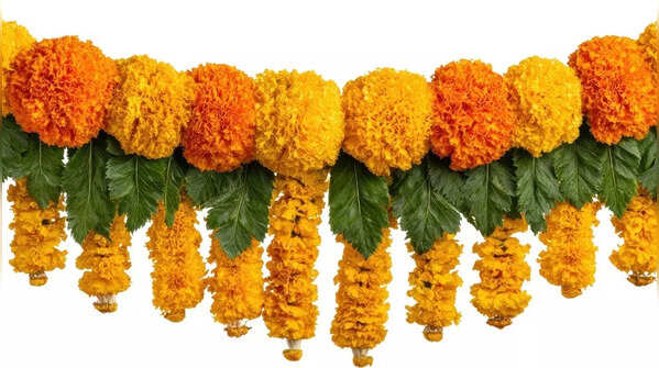 Toran or Bandhanwar