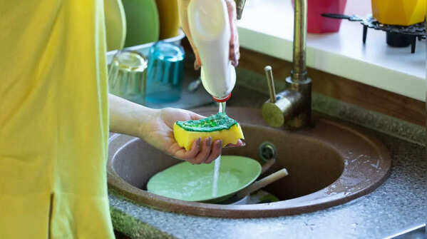 Kitchen sponges are bacterial hotspots