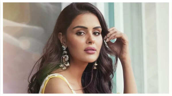 On comparisons with previous Naagins