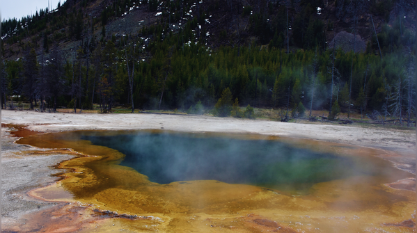 Cold spring basins below 12°C