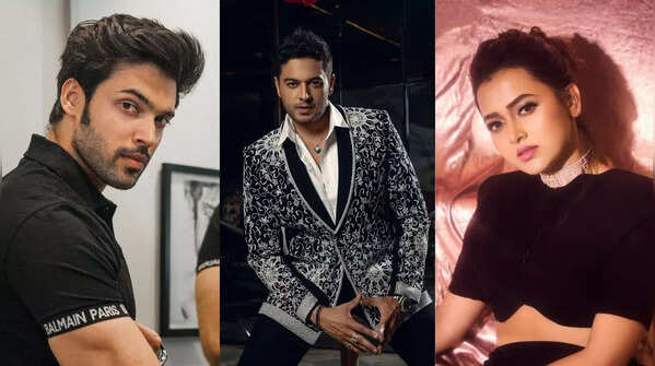 TV stars who ruled the headlines in 2025: From Gaurav Khanna to Tejasswi Prakash