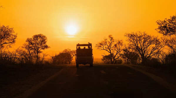 Canter safari
