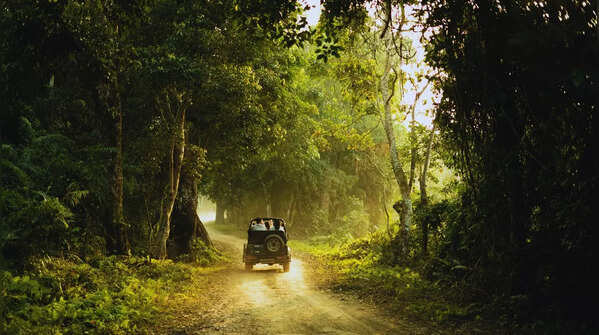 Jeep safari