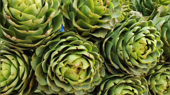 Artichoke