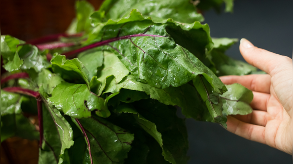 Swiss chard
