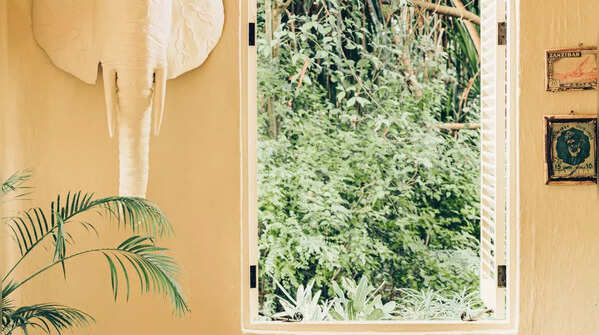 Tossing furniture out windows – Italy/South Africa