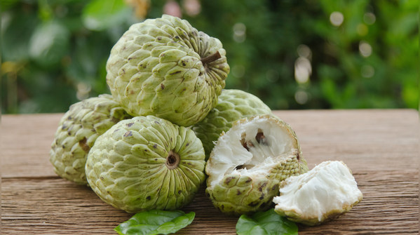 Immunity boosting effects
