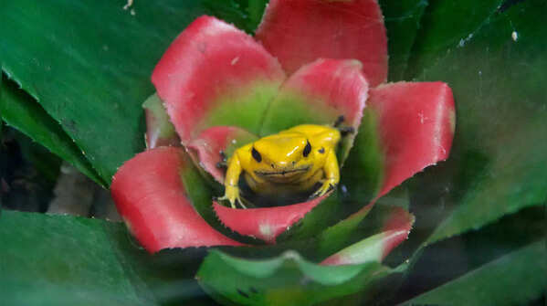 Culture, conservation, and why it matters