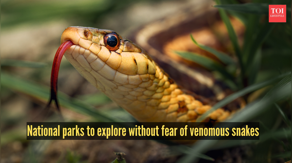 National parks to explore without fear of venomous snakes