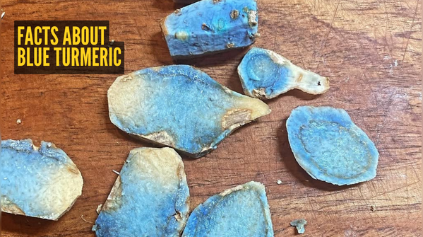 All about Blue Turmeric and its benefits