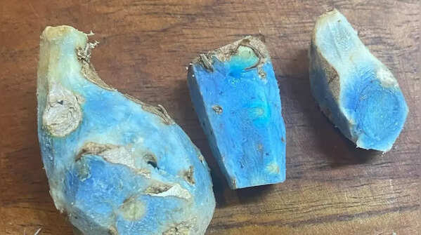 What is Blue Turmeric?