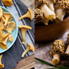 Chanterelles and Morels