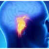 louisiana semaglutide intestinal paralysis attorney New Orleans Ozempic Attorney